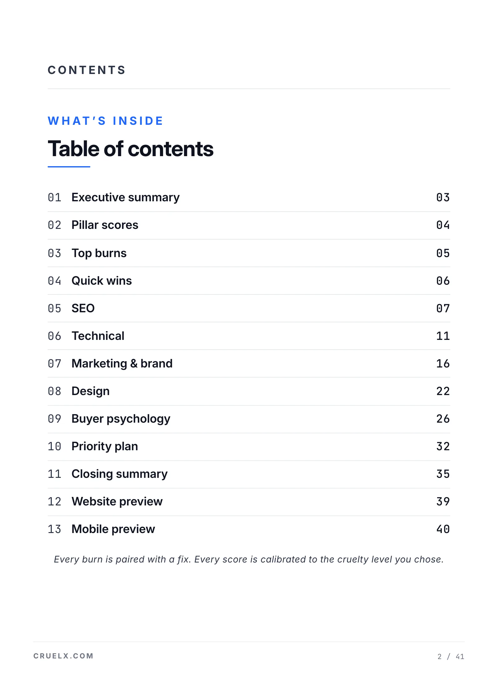 Cruelx website audit report: table of contents page
